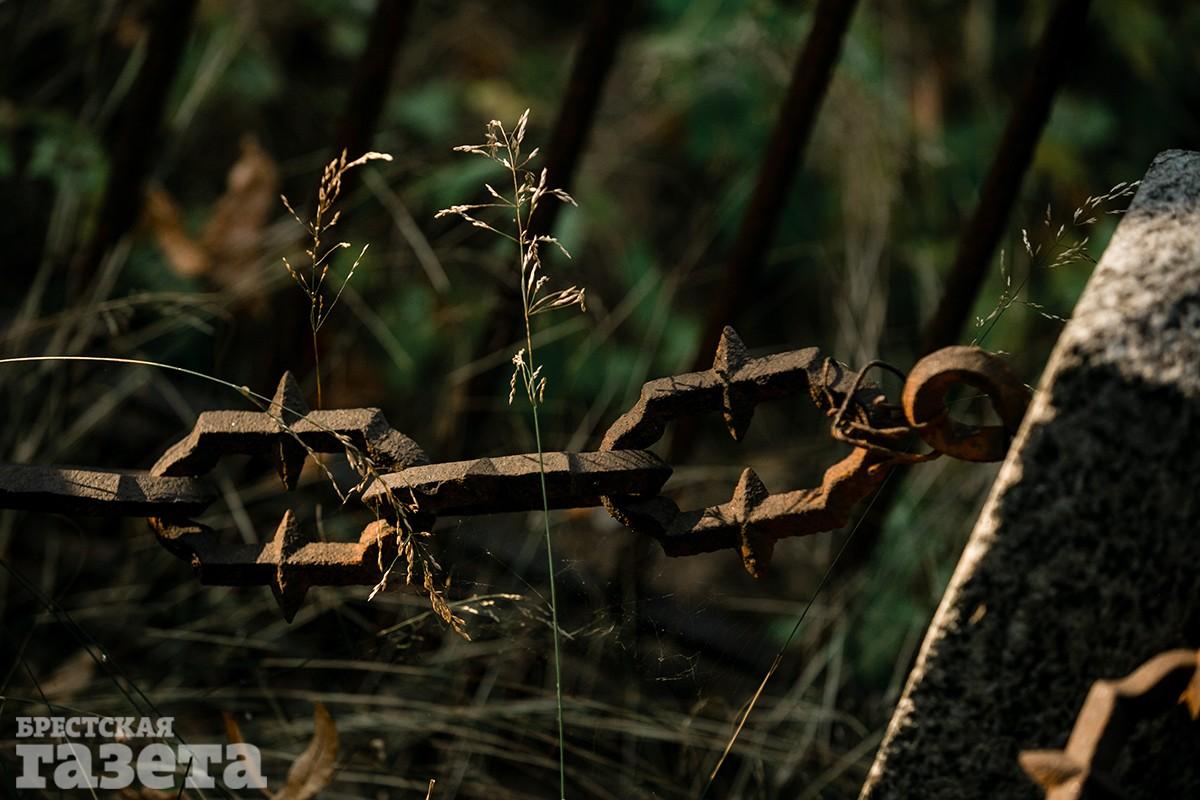 Экскурсия по Тришинскому некрополю в Бресте с краеведом Иваном Чайчицем. Фото: "Брестская газета"