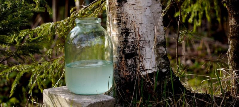 березовый сок