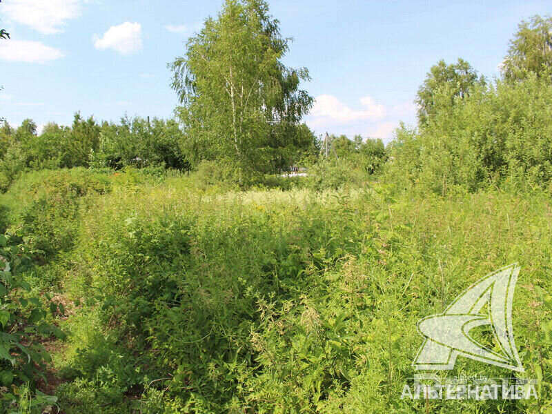 Участок в Бресте