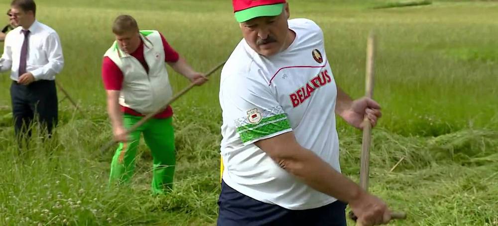 Лукашенко на сенокосе.