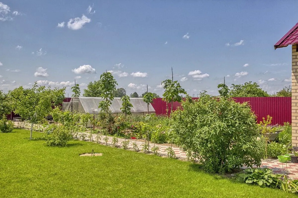 Огород и теплица.