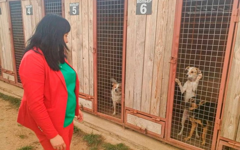 Пункт временного содержания животных Барановичского ЖКХ