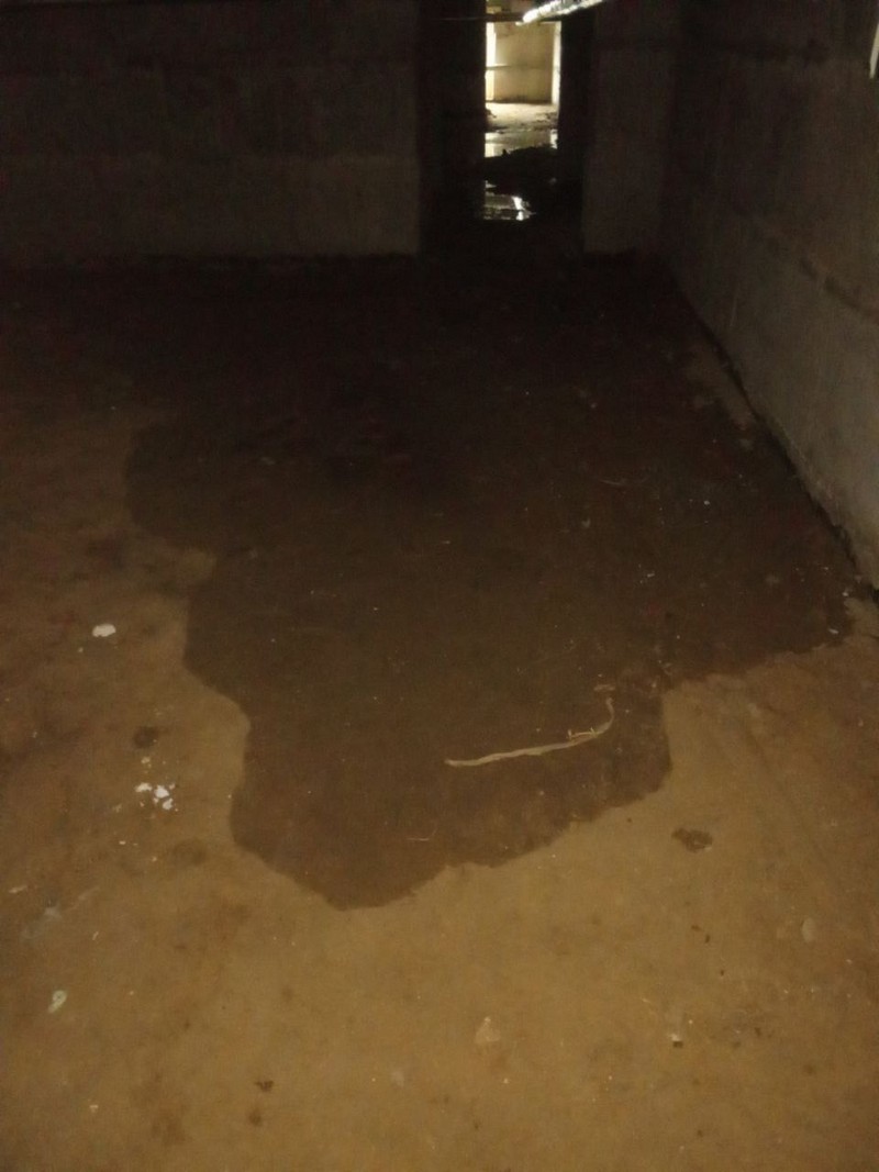 Лужа в подвале жилого дома в Дрогичине. Фото из соцсетей Натальи Качиной