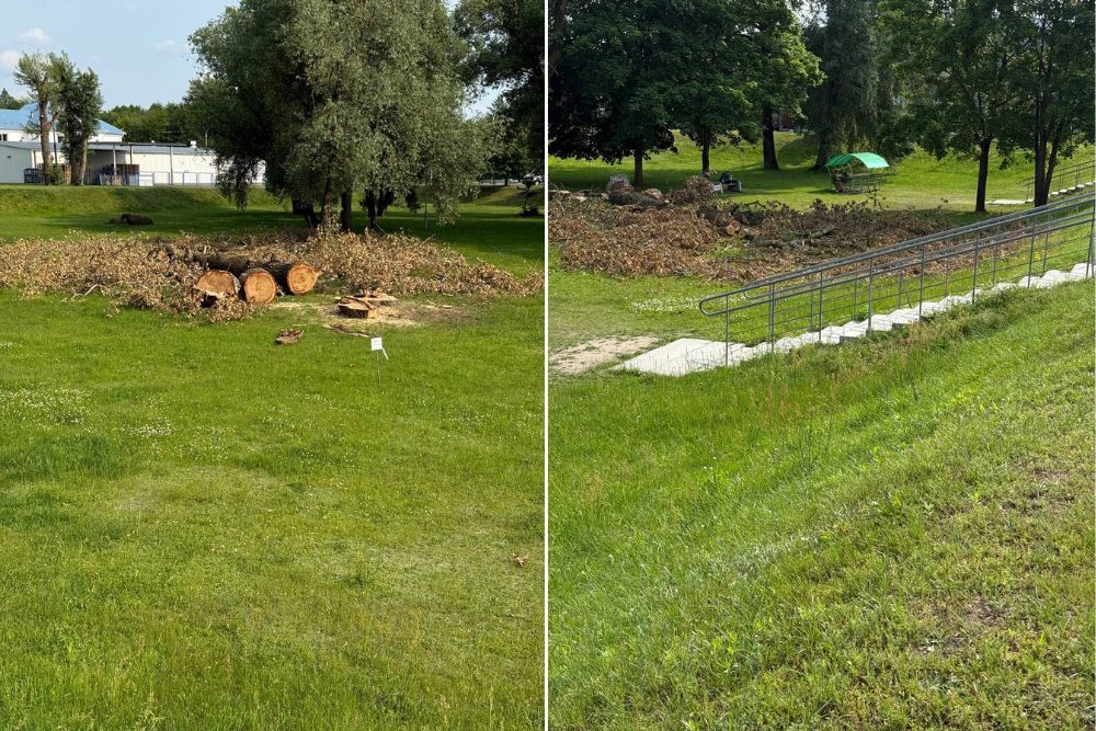 Спиленные деревья на территории пункта пропуска «Брест». Коллаж на основе фото из соцсетей