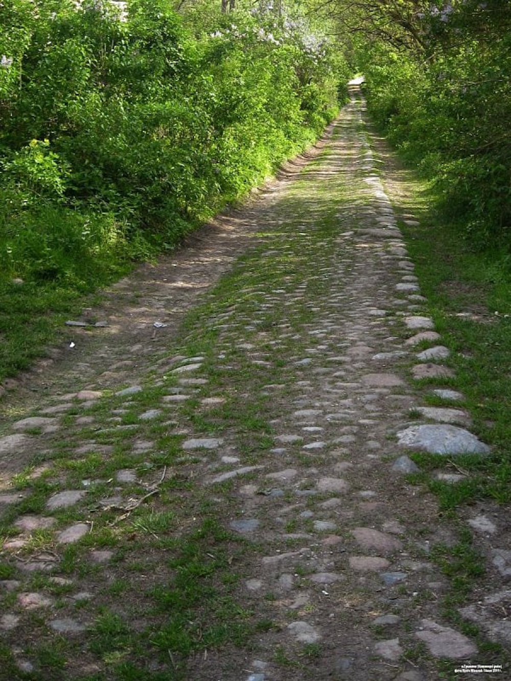 Брусчатка, ведущая в усадьбу Пузынов.