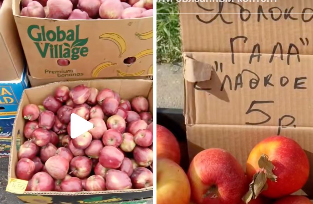 Цены на яблоки на сельскохозяйственной ярмарке в Бресте