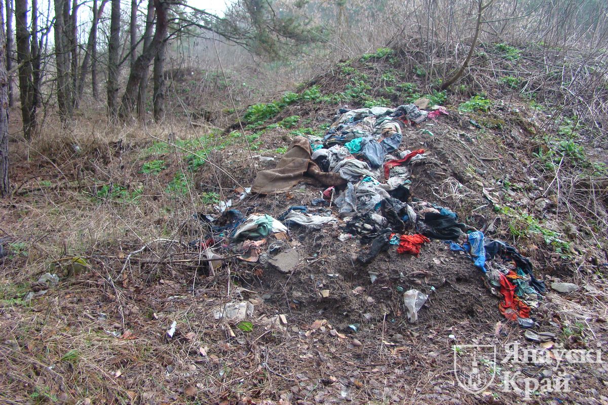 Мусор в одном из лесов Ивановского района Брестской области.