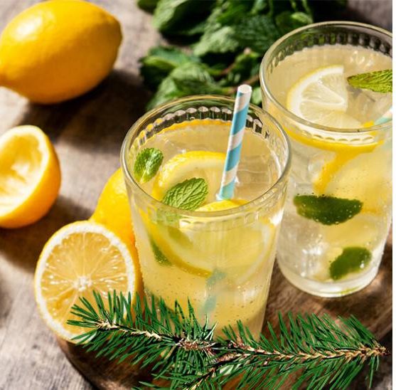 Напиток из хвои. 