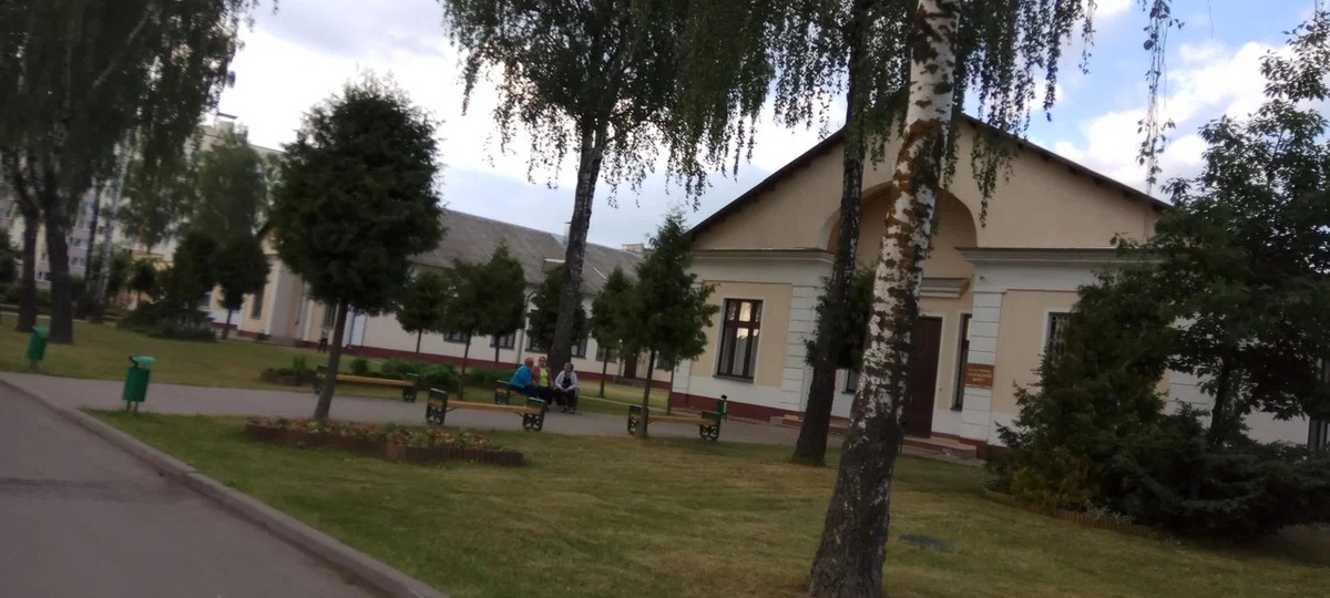 Березы на территории Барановичского государственного университета