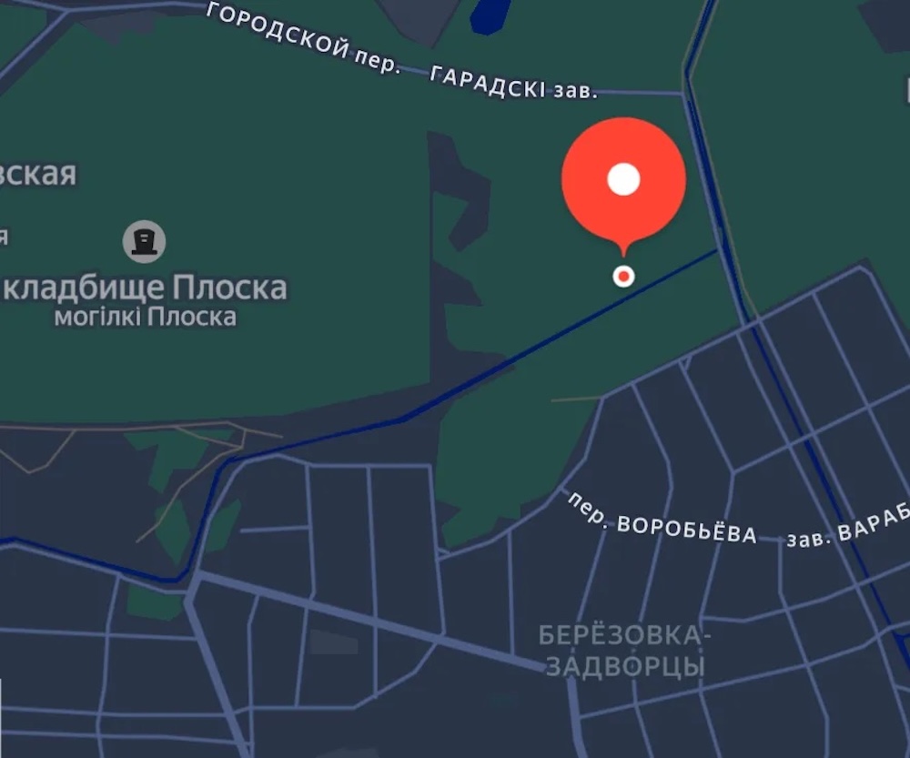 Точка с мусором в лесу около Плоски в Бресте