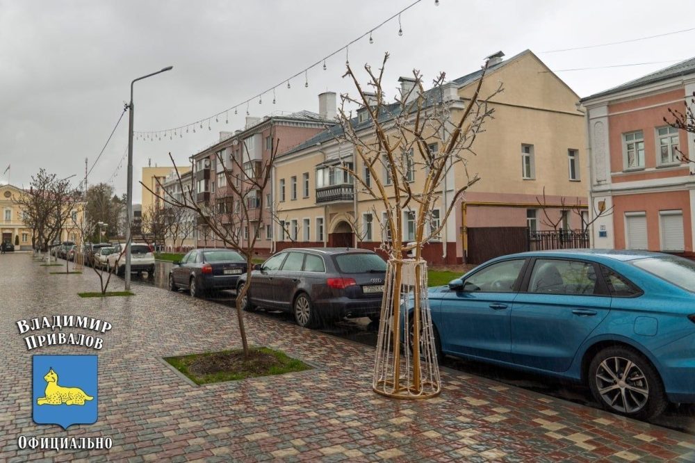 Светодиодные деревья на улице Баумана в Гомеле. Фото из телеграм-канала председателя Гомельского горисполкома Владимира Привалова