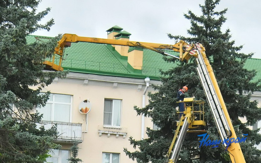 Удаление елей на площади Ленина в Барановичах